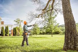 Best Tree Disease Treatment  in Watertown, TN