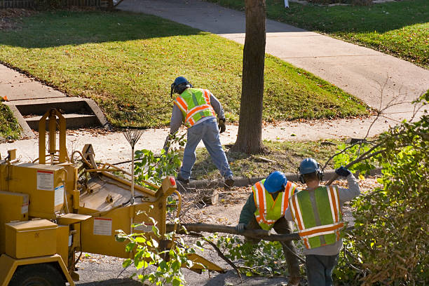 Best Lawn Watering Services  in Watertown, TN
